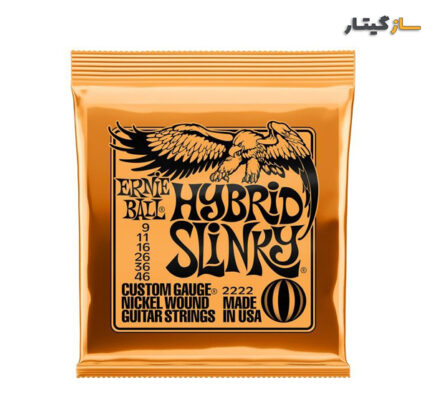سیم گیتار الکتریک Ernie Ball 2222